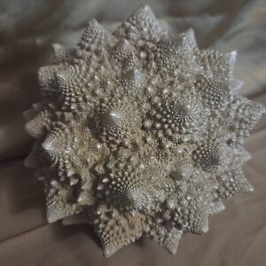 Unique Romanesco Broccoli Gold Beige Fractal Art Plaster Sculpture Decor